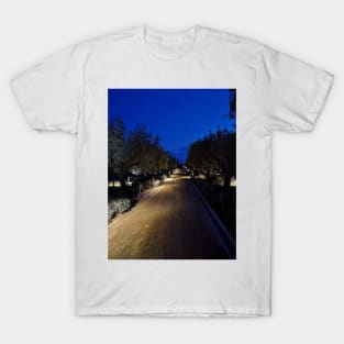 Romantic night through olive trees T-Shirt